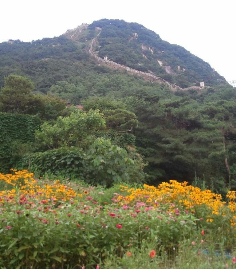Guesthouse The Kims Seoul Luaran gambar