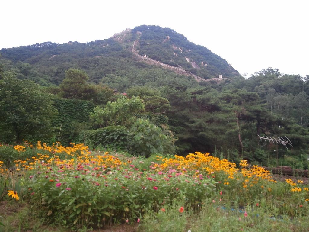 Guesthouse The Kims Seoul Luaran gambar